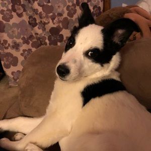 Meet your Posher, Tina